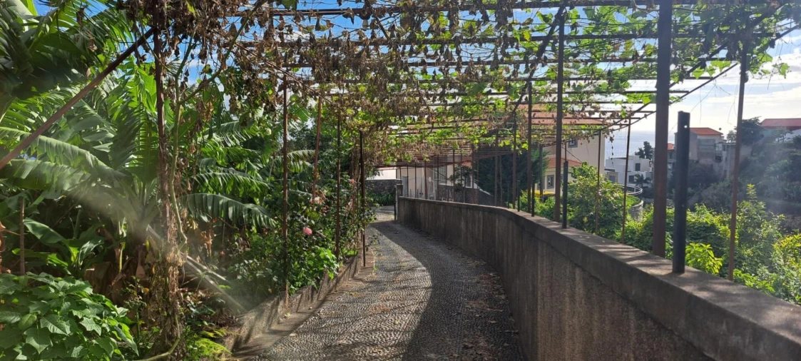 Prédio para Venda em Estreito de Camara de Lobos Foto 21