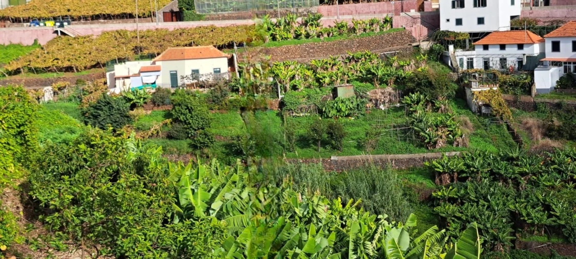 Prédio para Venda em Estreito de Camara de Lobos Foto 4