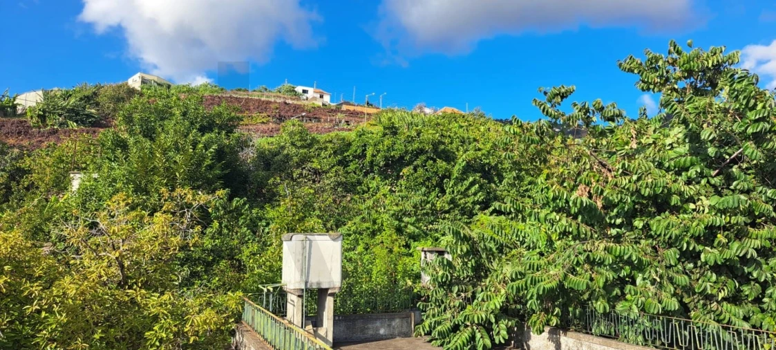 Prédio para Venda em Estreito de Camara de Lobos Foto 3