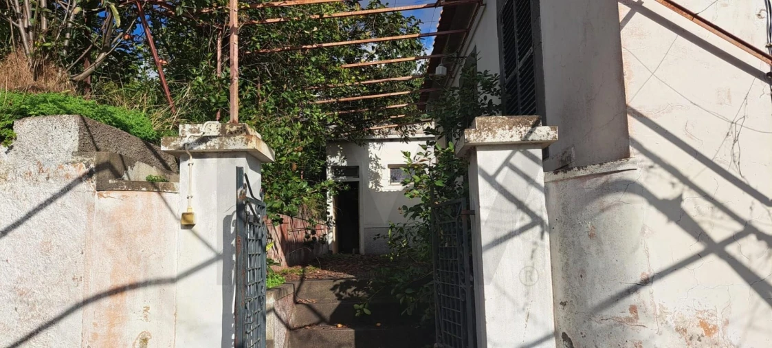 Prédio para Venda em Estreito de Camara de Lobos Foto 20