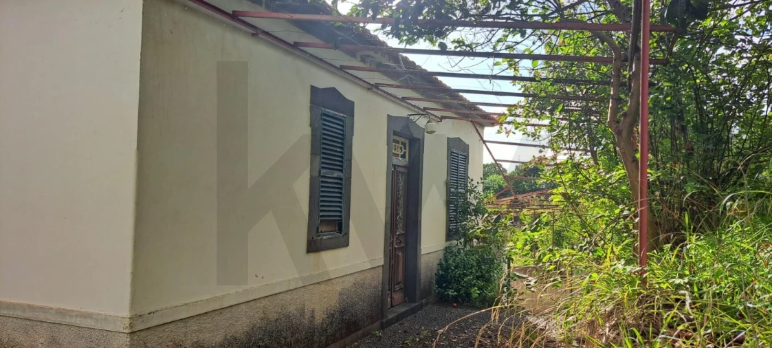 Prédio para Venda em Estreito de Camara de Lobos Foto 14