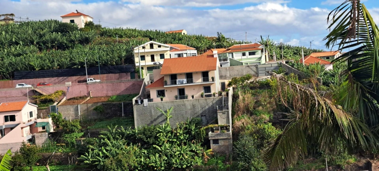 Prédio para Venda em Estreito de Camara de Lobos Foto 8