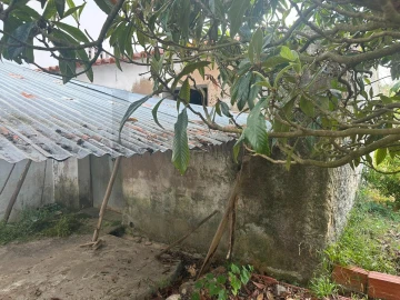 Armazém para Venda em Ramalhal