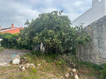 Armazém para Venda em Ramalhal