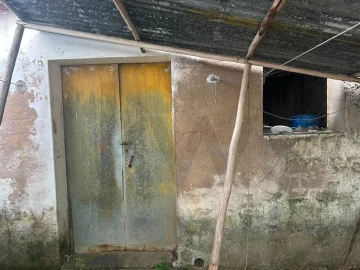 Armazém para Venda em Ramalhal