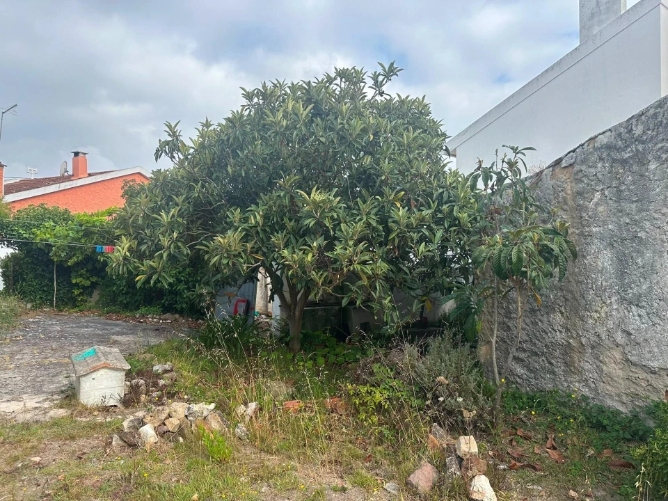 Armazém para Venda em Ramalhal Foto 4