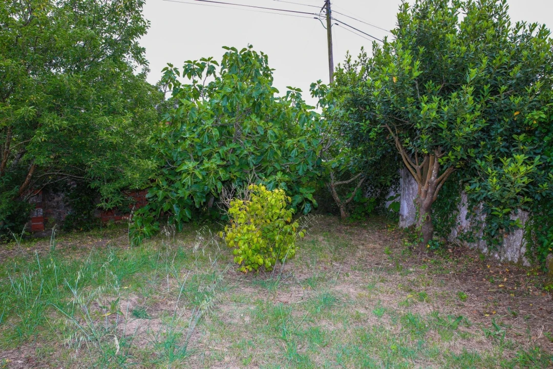 Terreno para Venda em Ramalhal Foto 4