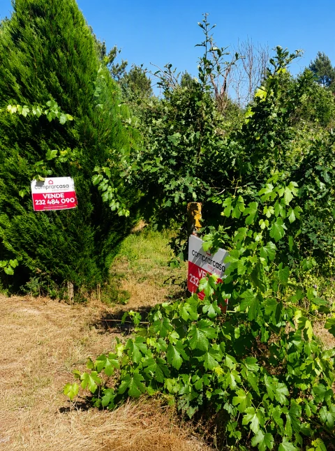 Terreno para Venda em Queirã