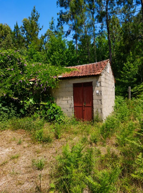Terreno para Venda em Queirã