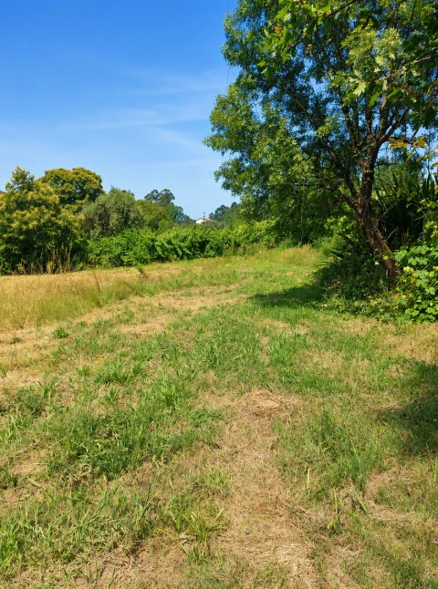 Terreno para Venda em Queirã