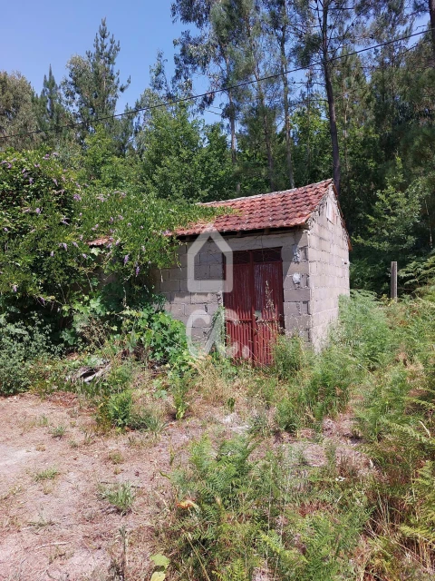 Terreno para Venda em Queirã