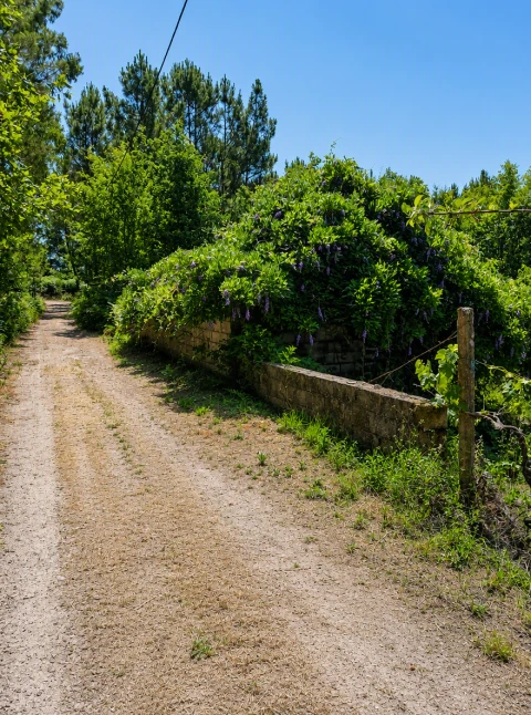 Terreno para Venda em Queirã