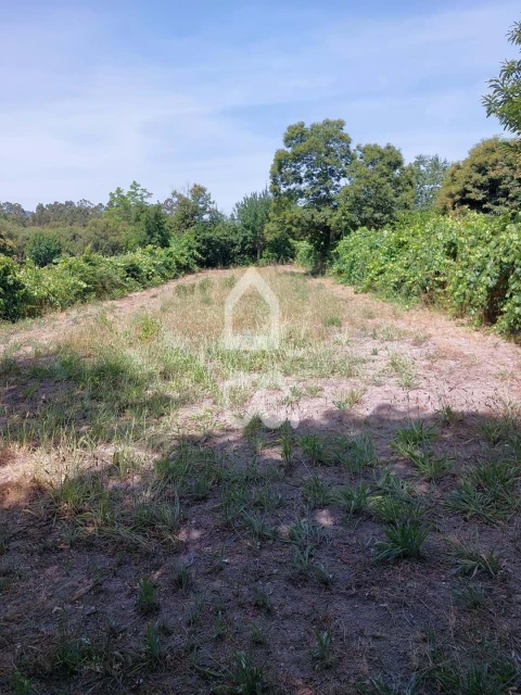 Terreno para Venda em Queirã