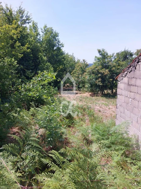 Terreno para Venda em Queirã