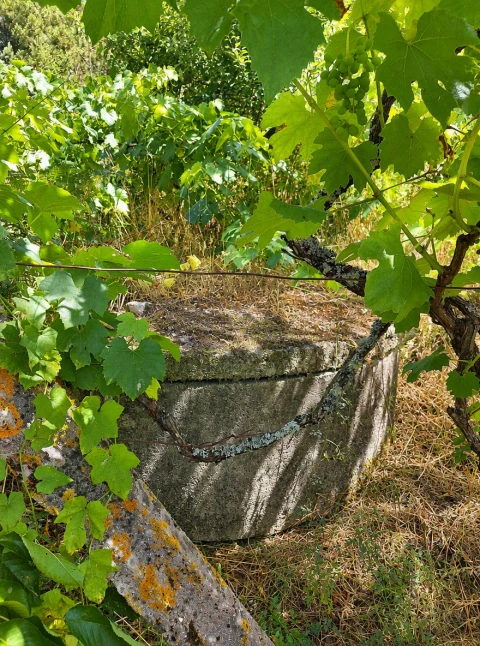 Terreno para Venda em Queirã