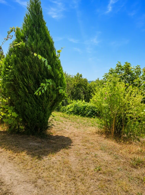 Terreno para Venda em Queirã