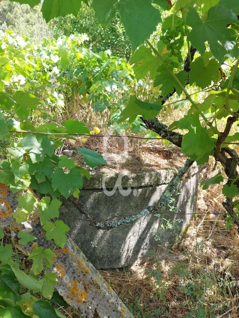 Terreno para Venda em Queirã