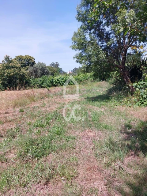 Terreno para Venda em Queirã