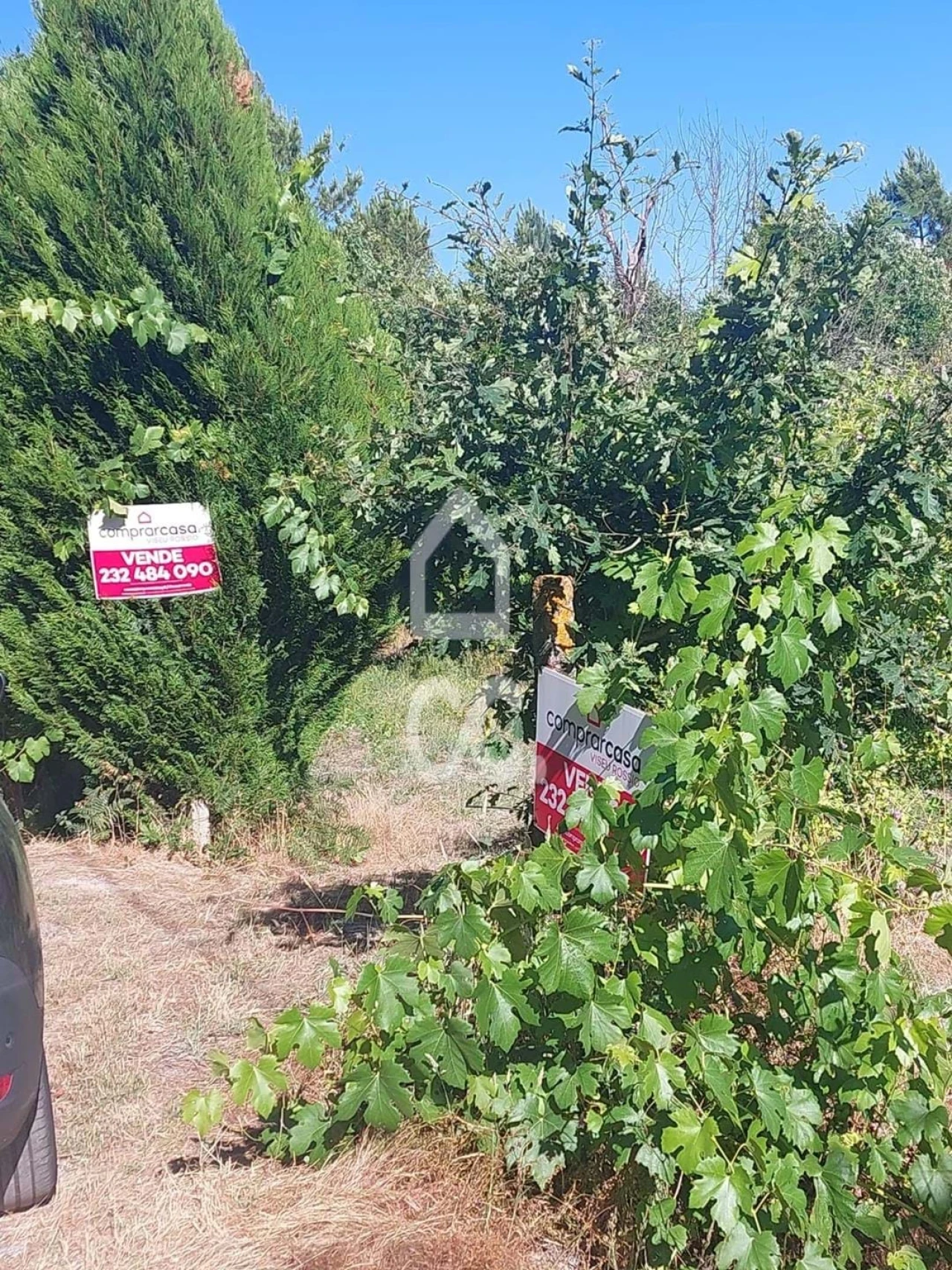 Terreno para Venda em Queirã Foto 16