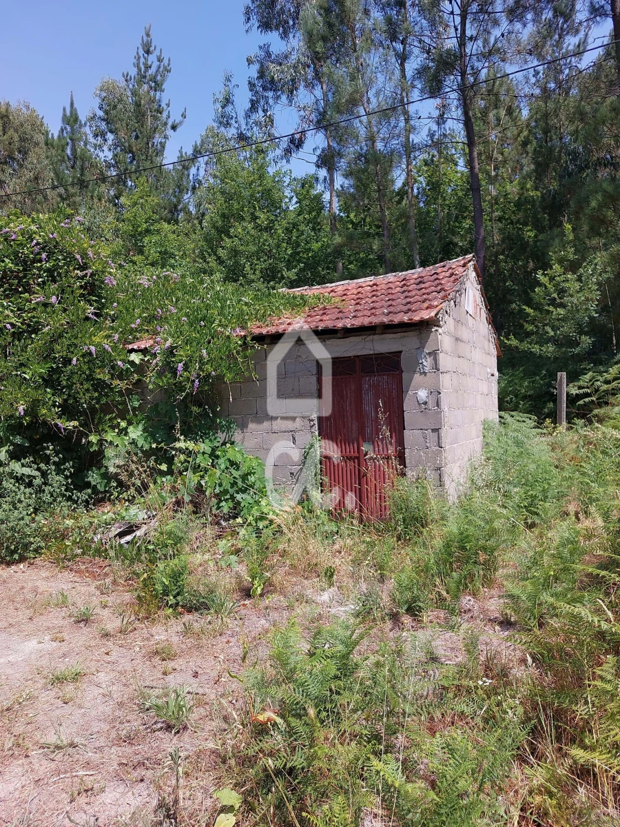 Terreno para Venda em Queirã Foto 2