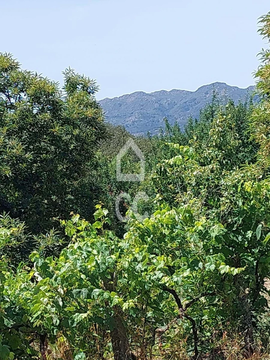 Terreno para Venda em Queirã Foto 4