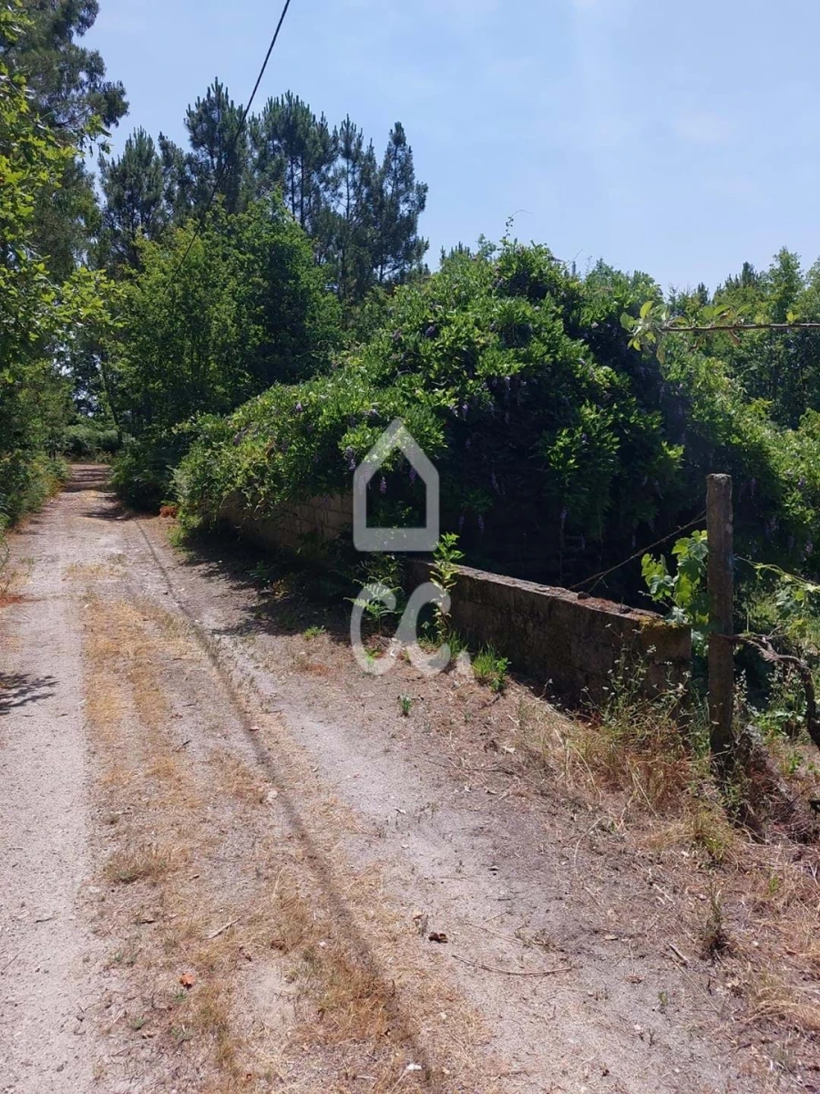 Terreno para Venda em Queirã Foto 10
