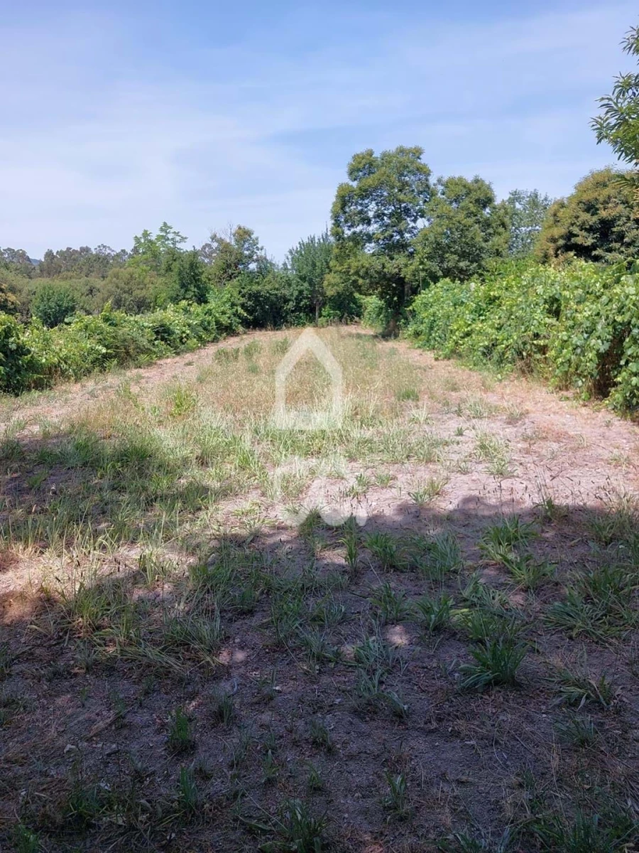 Terreno para Venda em Queirã Foto 14