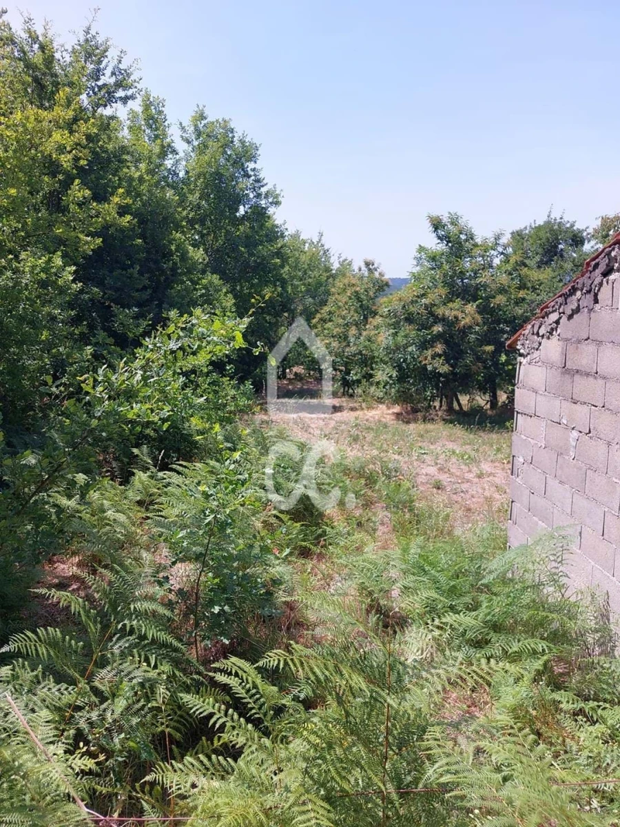 Terreno para Venda em Queirã Foto 11