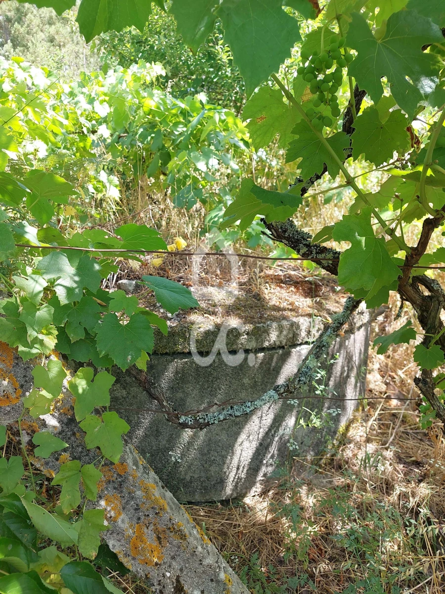 Terreno para Venda em Queirã Foto 5