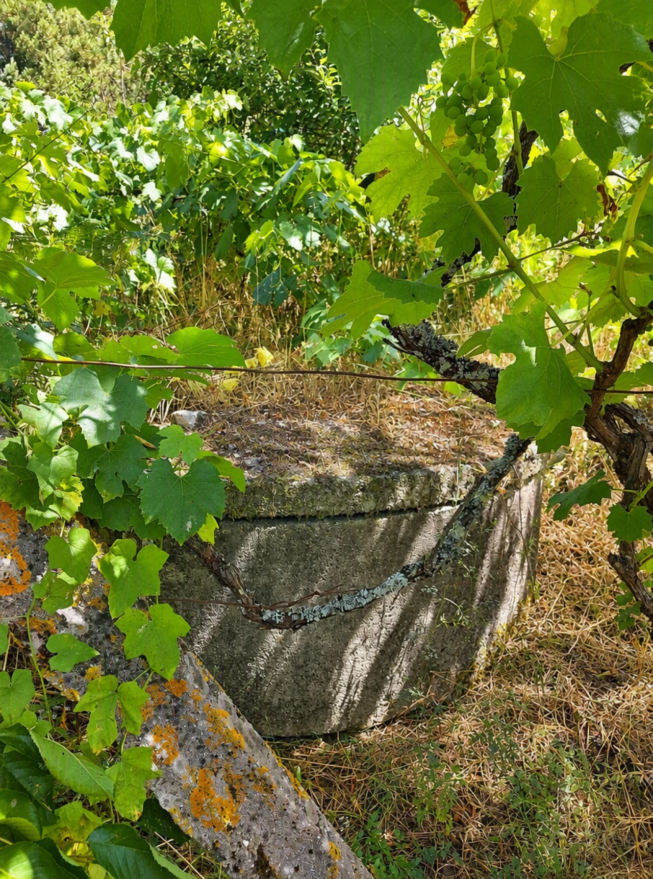 Terreno para Venda em Queirã Foto 17