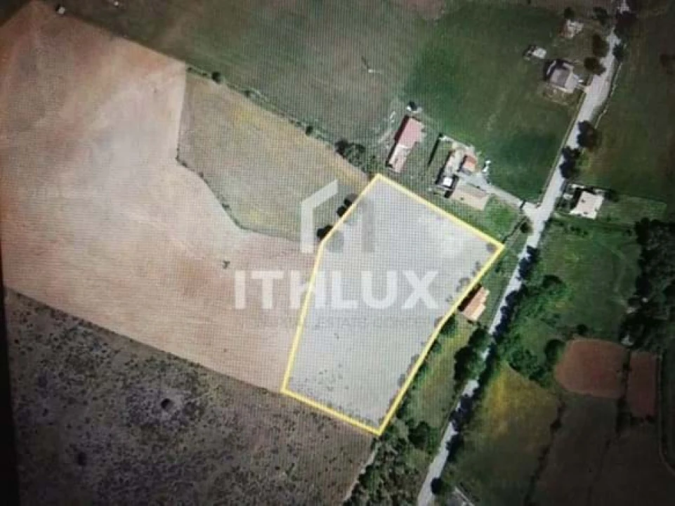 Terreno Agricola ou Rústico para Venda em Izeda, Calvelhe e Paradinha Nova Foto 1