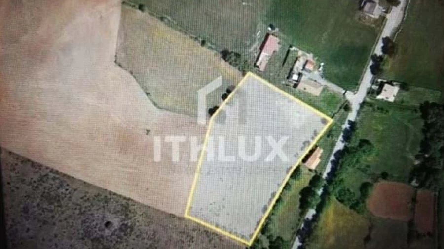 Terreno Agricola ou Rústico para Venda em Izeda, Calvelhe e Paradinha Nova