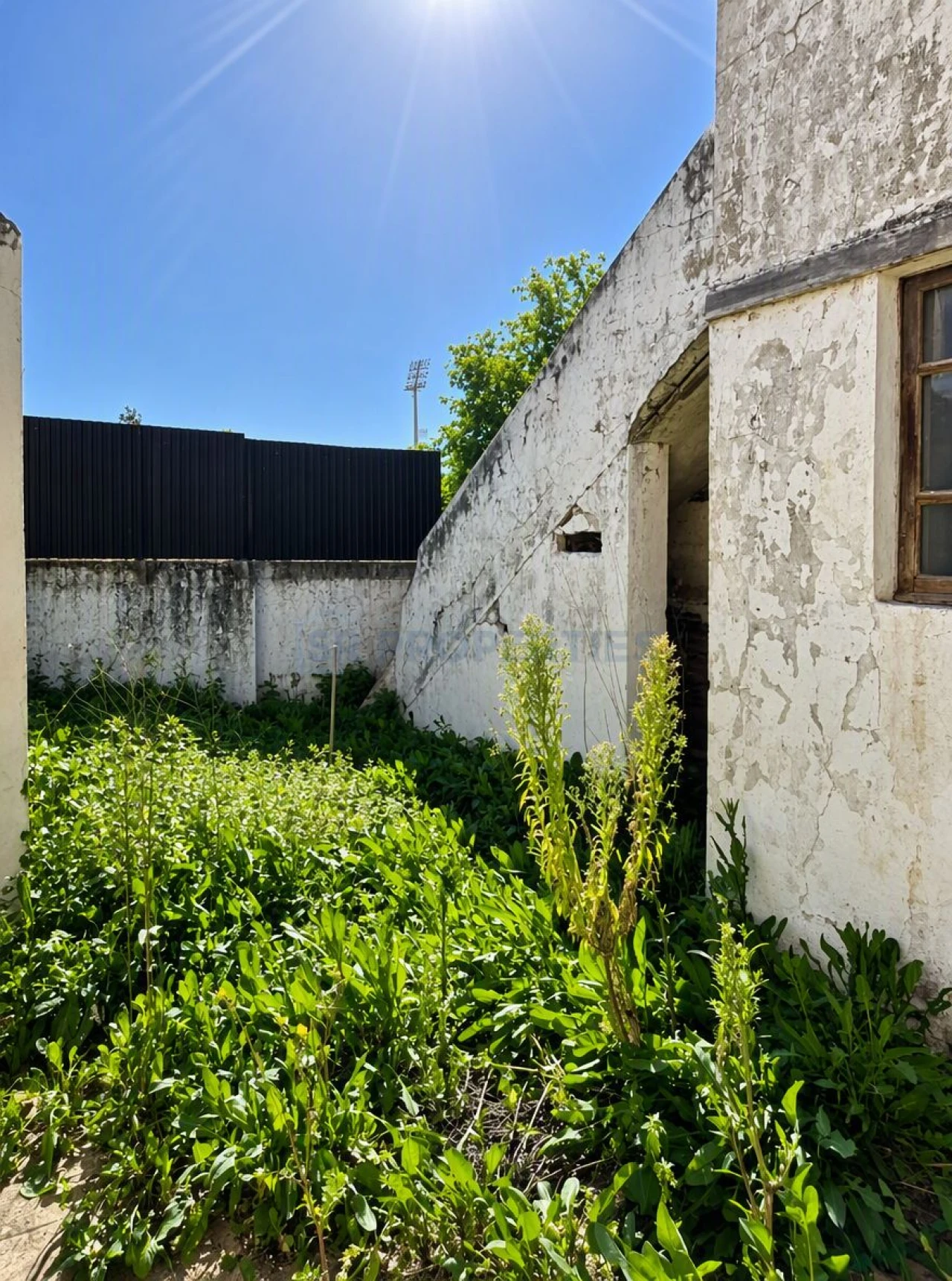Terreno para Venda em Loule (São Clemente) Foto 24