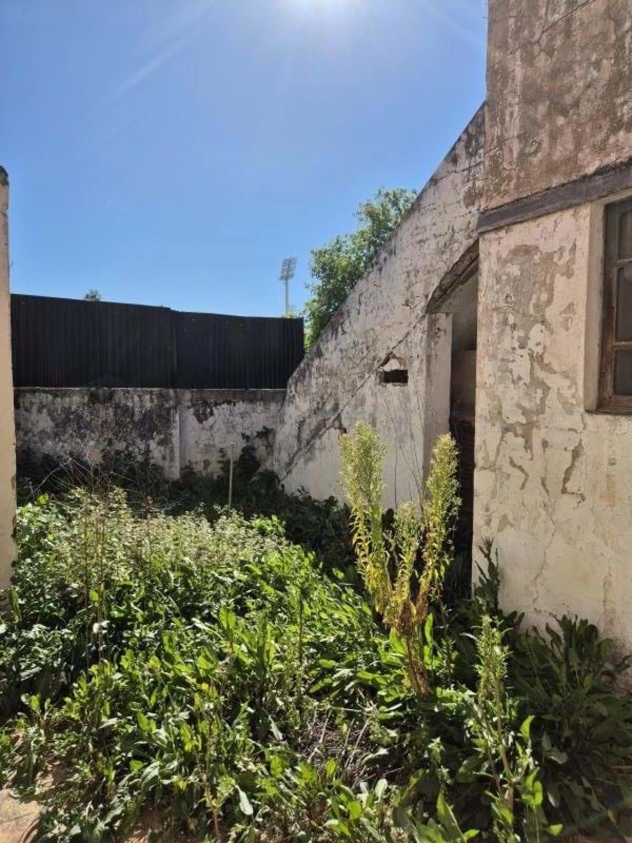 Terreno para Venda em Loule (São Clemente) Foto 12