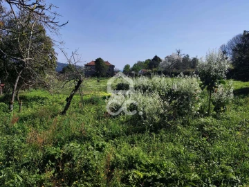 Quinta T6 para Venda em Termas de São Vicente