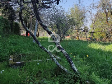 Quinta T6 para Venda em Termas de São Vicente
