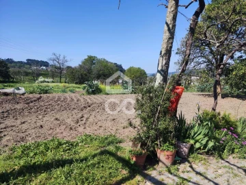 Quinta T6 para Venda em Termas de São Vicente