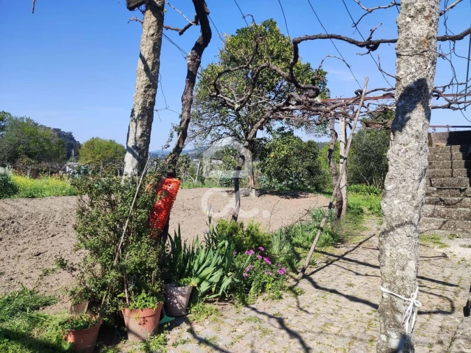 Quinta T6 para Venda em Termas de São Vicente Foto 21