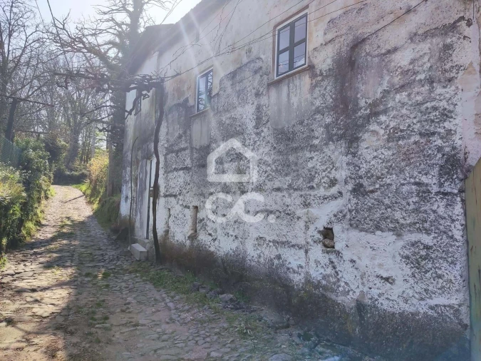 Quinta T6 para Venda em Termas de São Vicente Foto 9