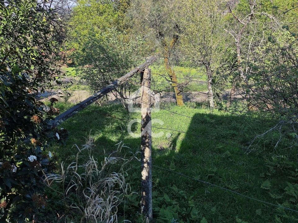 Quinta T6 para Venda em Termas de São Vicente Foto 14