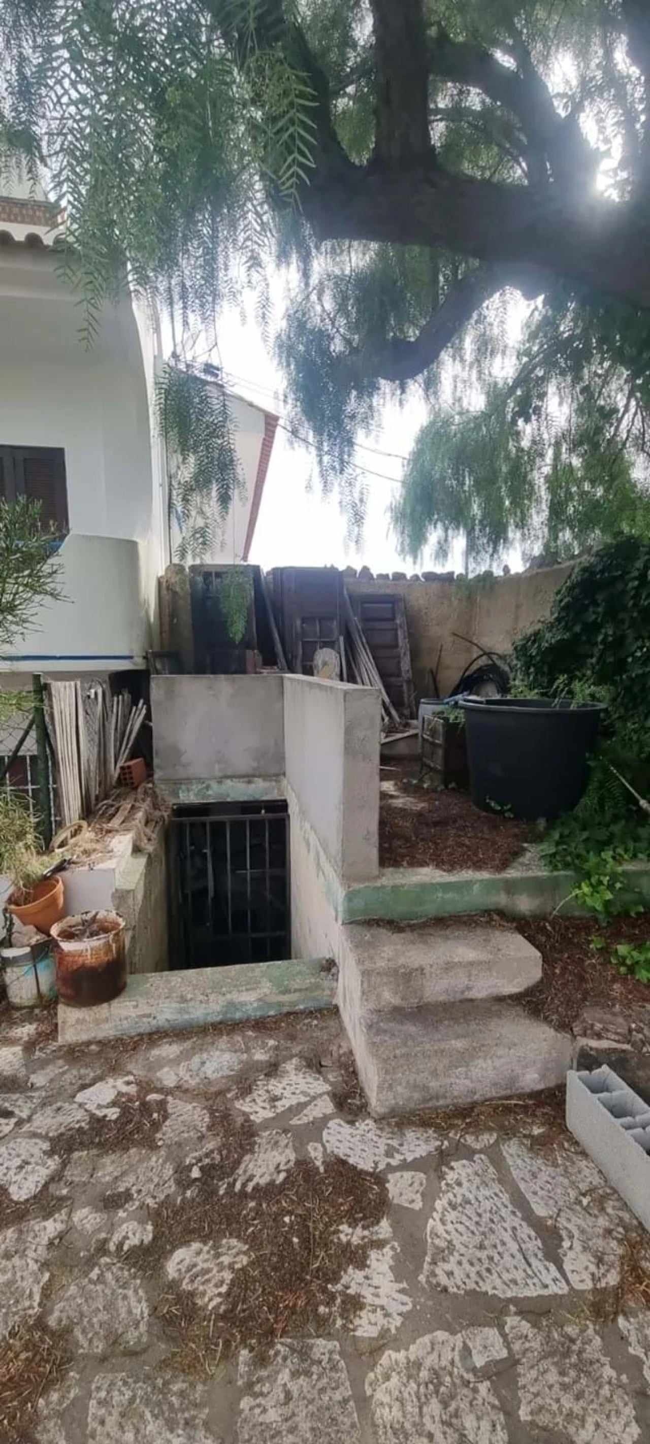 Terreno para Venda em Porches Foto 5