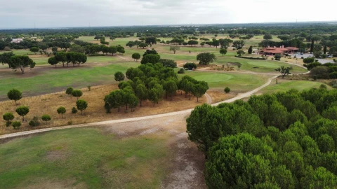 Terreno para Venda em Santo Estêvão