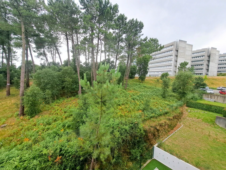 Apartamento T2 para Arrendamento em Gualtar Foto 16