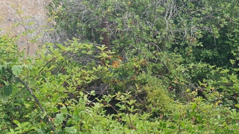 Quinta T3 para Venda em Maxial e Monte Redondo