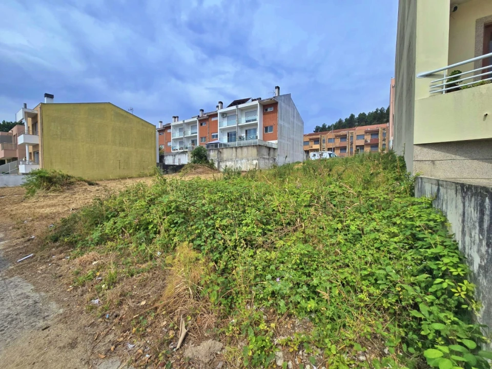 Terreno para Venda em Coronado (São Romão e São Mamede) Foto 4