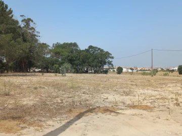 Terreno Agricola ou Rústico para Venda em Montijo e Afonsoeiro