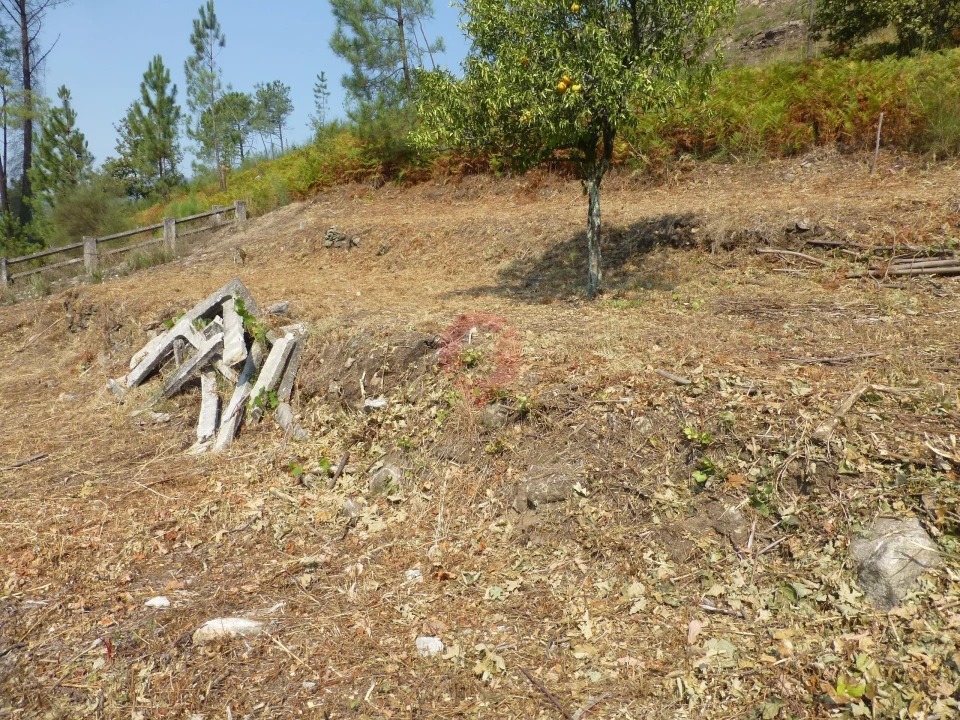 Moradia T2 para Venda em Prado e Remoães Foto 4