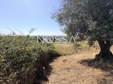 Terreno para Venda em Coruche, Fajarda e Erra