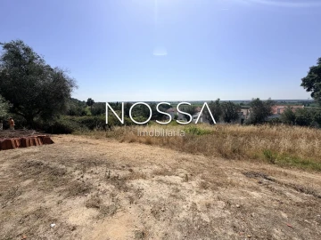 Terreno para Venda em Coruche, Fajarda e Erra
