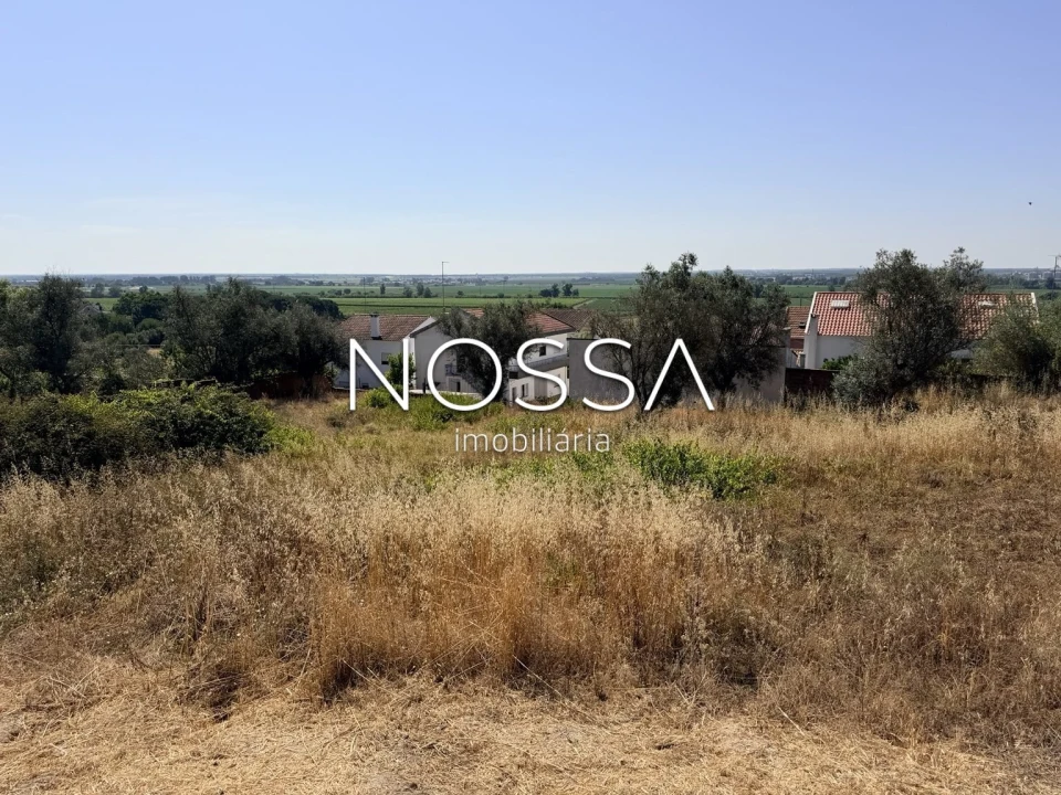 Terreno para Venda em Coruche, Fajarda e Erra Foto 18